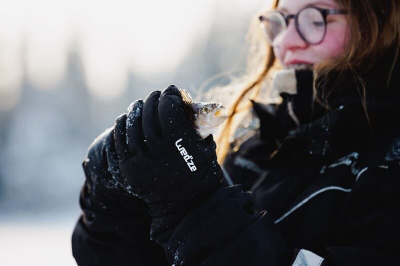 Rovaniemi: Arctic Circle Ice Fishing Experience - What to Expect: A Complete Breakdown