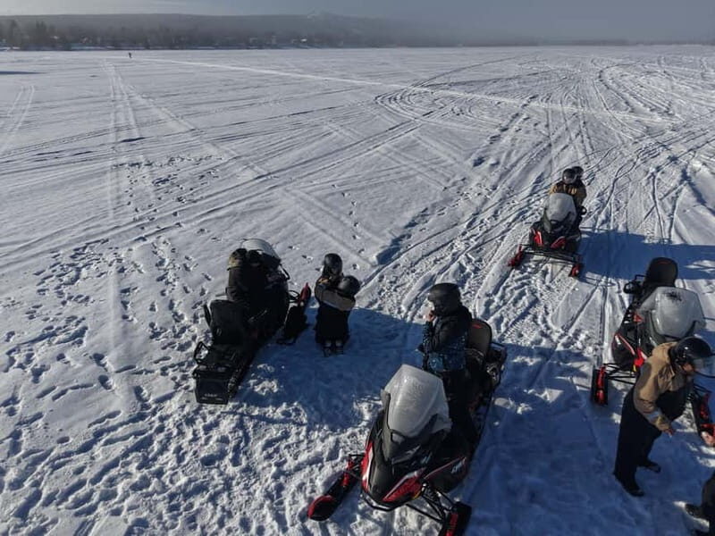 Rovaniemi: Arctic Snowmobiling Ride with Local Guide - Frequently Asked Questions (FAQs)
