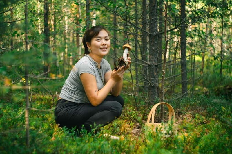 Rovaniemi: Arctic Wild Berry & Mushroom Foraging and Tasting - Key Points
