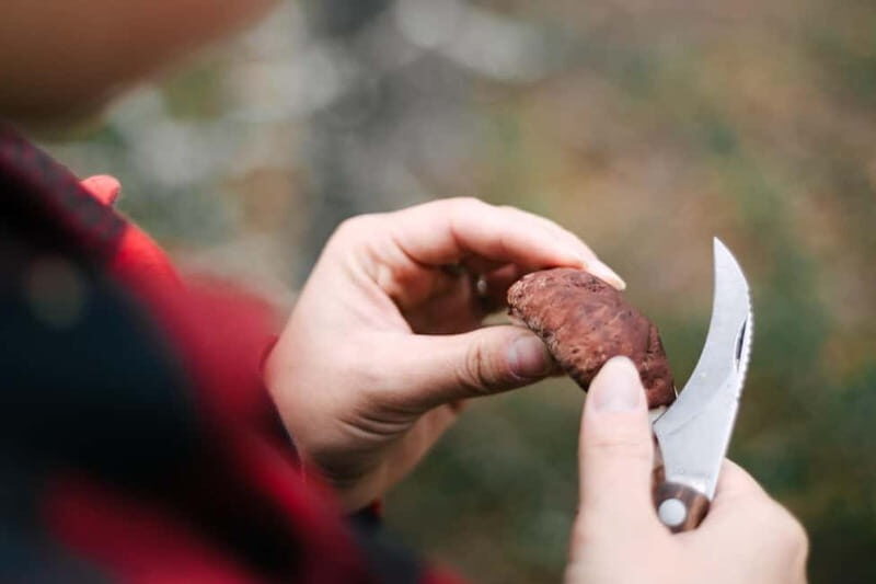 Rovaniemi: Arctic Wild Berry & Mushroom Foraging and Tasting - Exploring Rovaniemi’s Forests: The Heart of Arctic Foraging