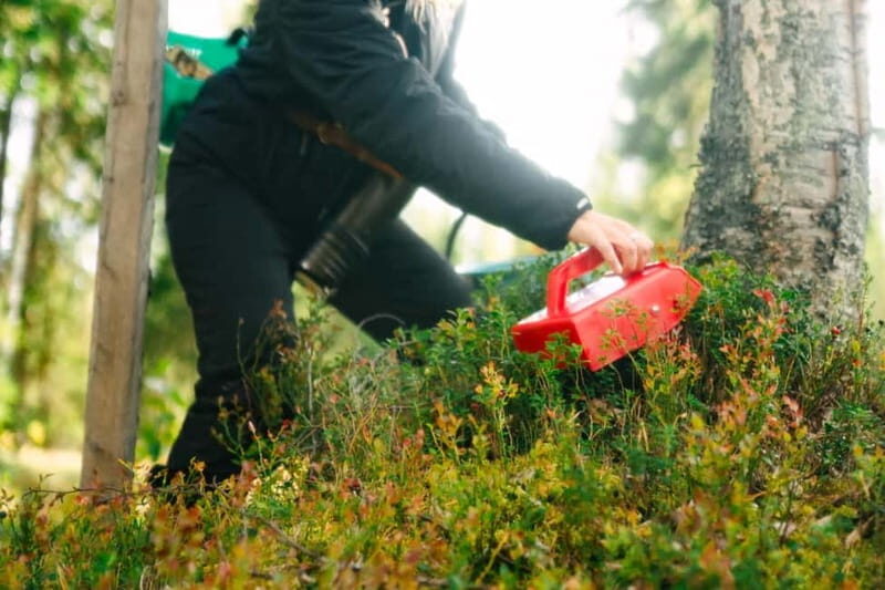 Rovaniemi: Arctic Wild Berry & Mushroom Foraging and Tasting - Final Thoughts