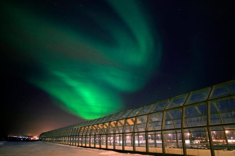 Rovaniemi: Arktikum Science Centre and Museum Entry Ticket - Who Should Visit?