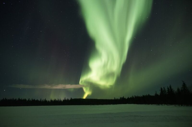 Rovaniemi: Aurora Borealis and Picnic - A Practical, Authentic Northern Lights Experience