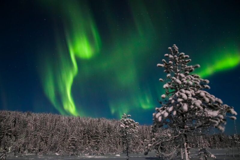 Rovaniemi: Aurora Borealis and Picnic - FAQ