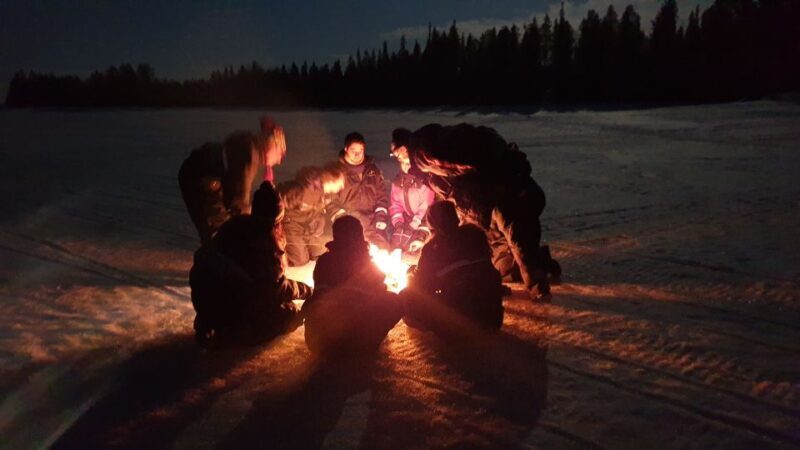 Rovaniemi: Aurora Borealis Snowmobile Safari with Campfire - What to Expect from the Tour