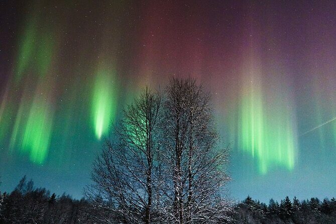 Rovaniemi: Aurora Hunt with Photograph & money back guarantee - Rovaniemi: Aurora Hunt with Photograph & Money Back Guarantee — A detailed look