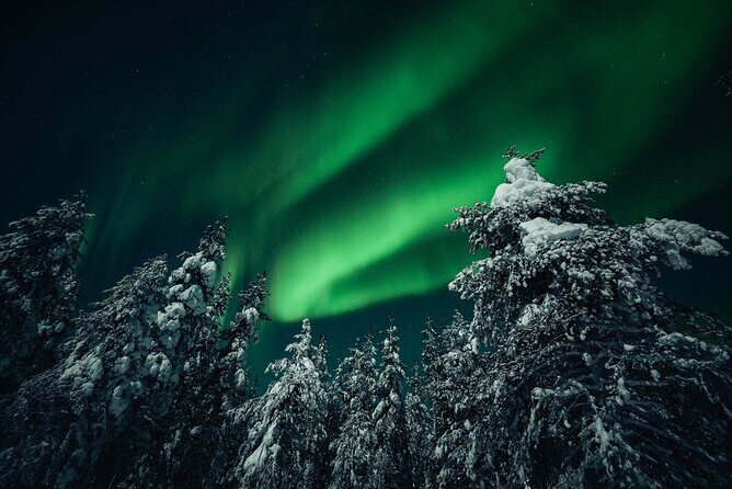Rovaniemi: Aurora Hunt with Photograph & money back guarantee - Practical considerations and tips