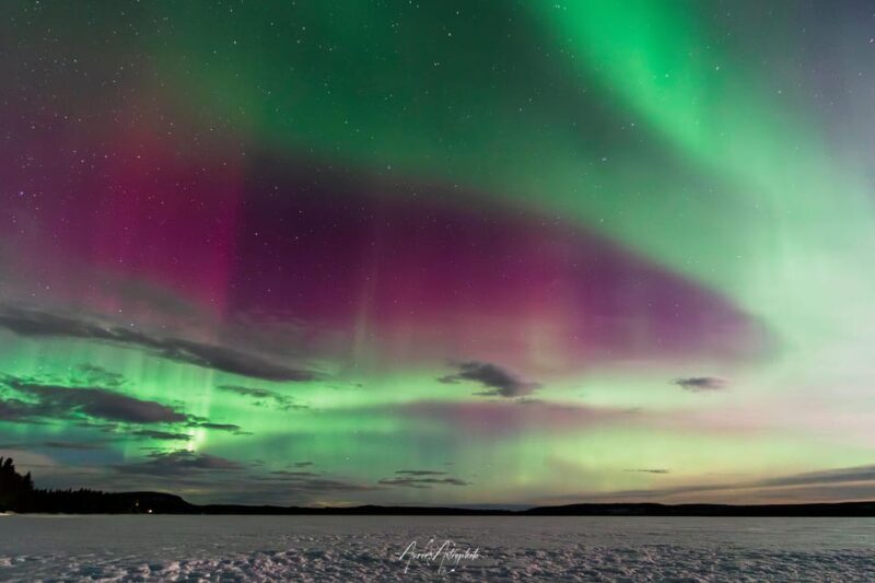 Rovaniemi: Aurora Hunting & Photography Tour - FAQ