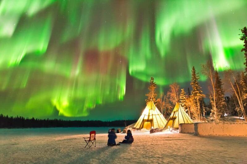 Rovaniemi: Aurora Hunting Photography Tour with Barbeque - The Sum Up
