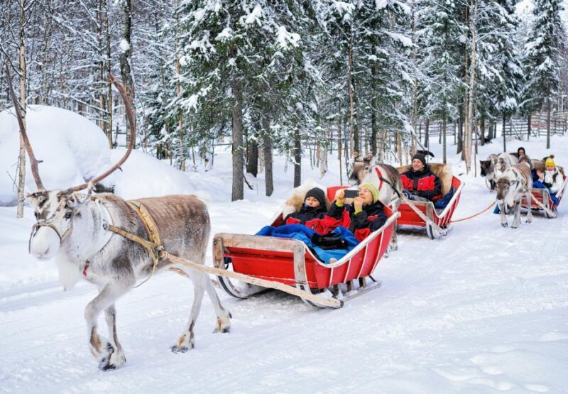 Rovaniemi: Authentic Reindeer Farm Visit and Sleigh Ride - A Deep Dive into the Reindeer Farm Experience