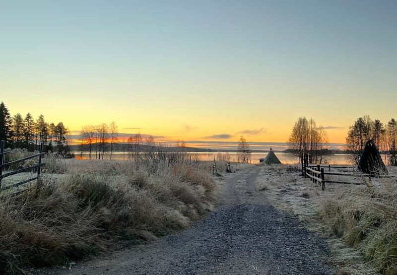 Rovaniemi: Autumn Husky Ride on Wheels - The Itinerary: What to Expect