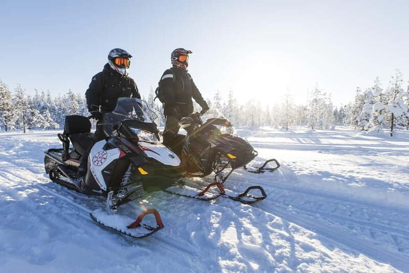 Rovaniemi: Backwoods Adventure Full Day Snowmobile Safari - Key Points