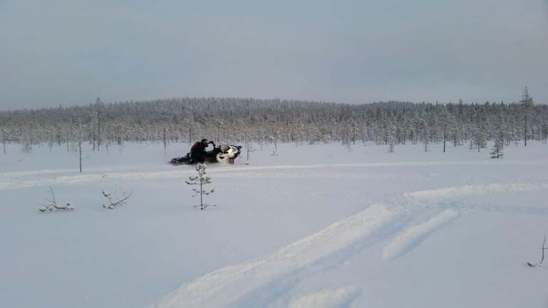 Rovaniemi: Backwoods Adventure Full Day Snowmobile Safari - Who Should Consider This Tour?