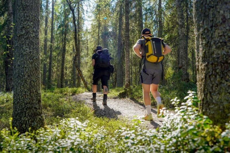 Rovaniemi: Berry and Mushroom Picking with Wilderness Guide - Rovaniemi: Berry and Mushroom Picking with Wilderness Guide – A Practical Guide to an Arctic Nature Adventure