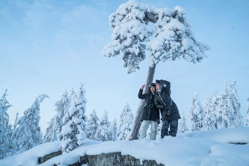 Rovaniemi City Photography Tour - Exploring Rovaniemi with a Camera: What to Expect