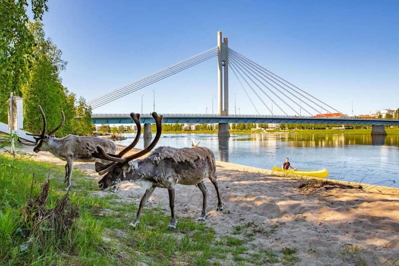 Rovaniemi: Cultural Canoe Trip - Why This Canoe Trip Offers Good Value