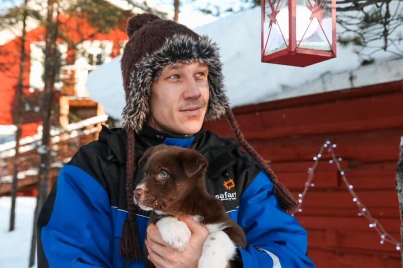 Rovaniemi: Daytime Husky Safari - Key Points
