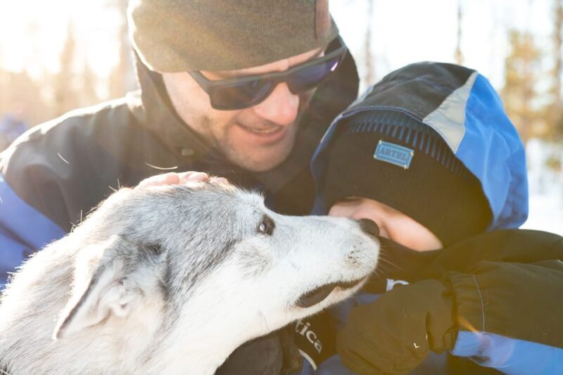 Rovaniemi: Daytime Husky Safari - Who Will Love This Experience?