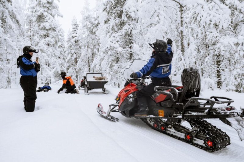 Rovaniemi: Easy Snowmobile Safari - Key Points