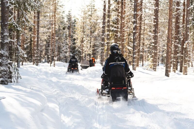 Rovaniemi: Easy Snowmobile Safari - An In-Depth Look at the Snowmobile Safari