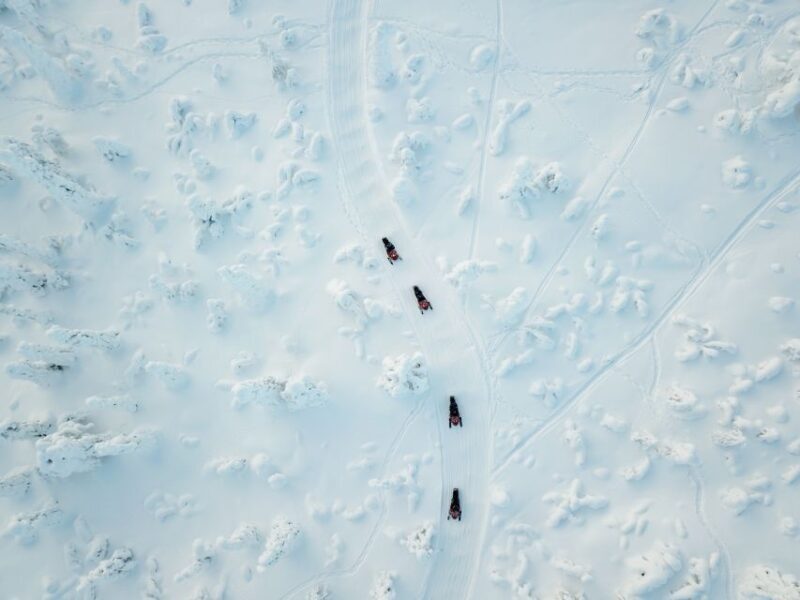 Rovaniemi: Full Day Snowmobile Safari into the Wilderness - Who Is This Tour Best For?