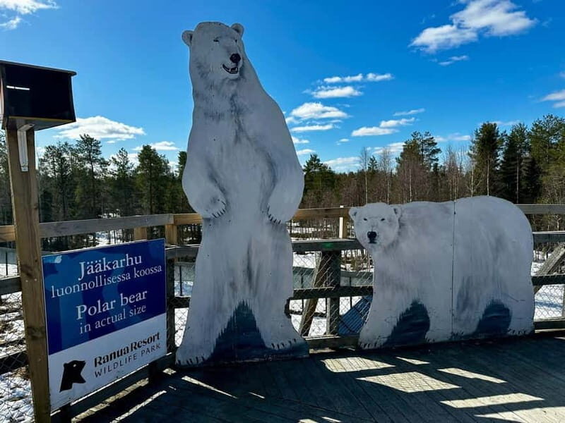 Rovaniemi: Full-Day Tour to Lapland's Best Attractions 5in1 - The Value and Practical Considerations