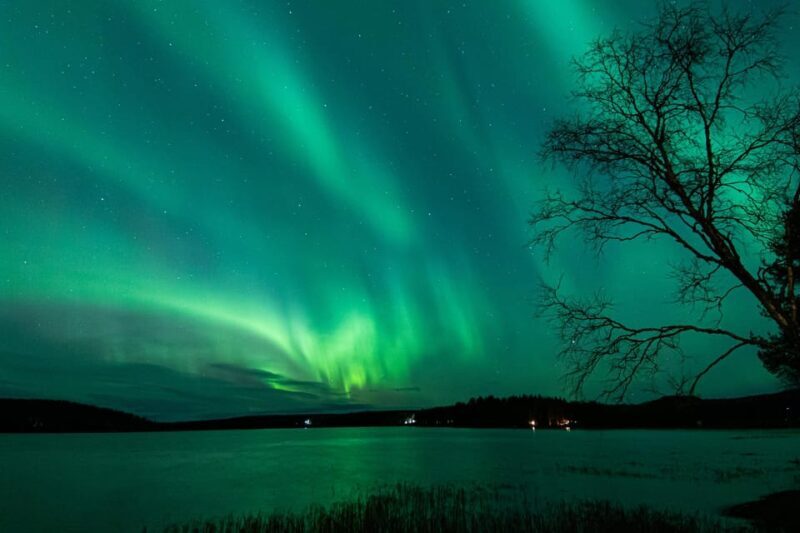 Rovaniemi: Guaranteed Aurora Hunting Tour with Local Guide - An Authentic Arctic Night with a Personal Touch