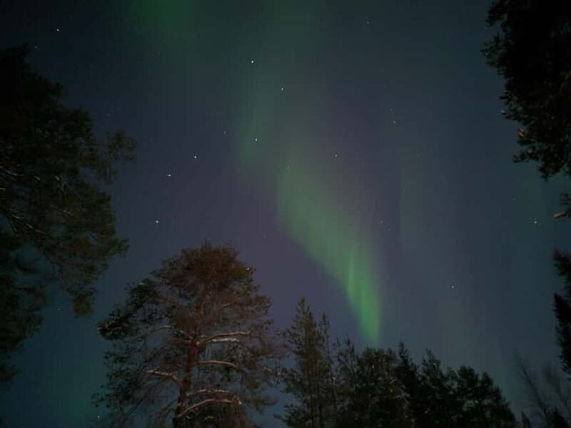 Rovaniemi: Guaranteed Northern Lights Magic Adventure - What Makes This Tour Special