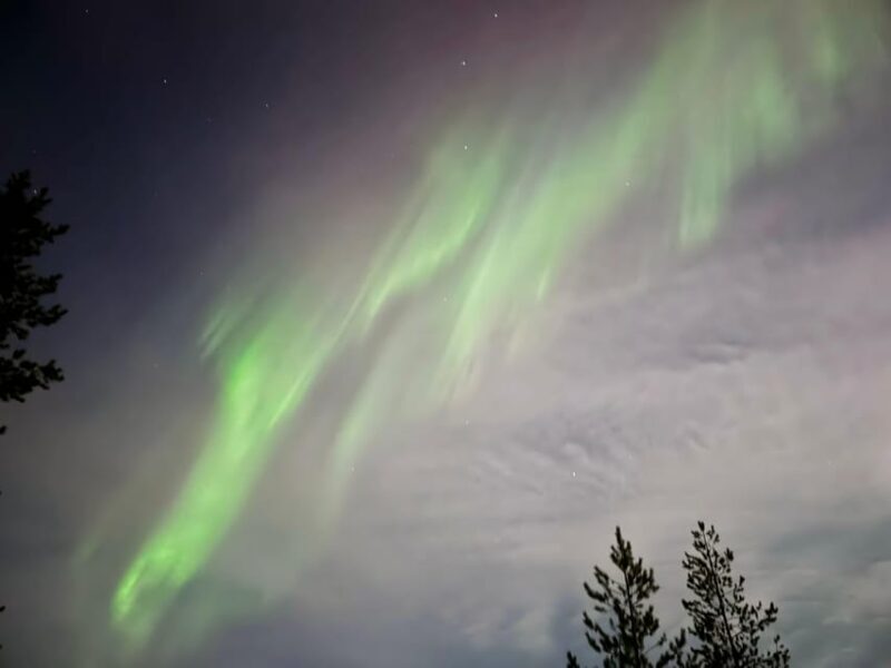 Rovaniemi: Guaranteed Northern Lights Tour - Final Thoughts: Who Is It Best For?