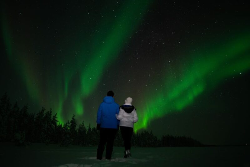 Rovaniemi: Guided Northern Lights Tour - An Authentic Arctic Adventure: What to Expect