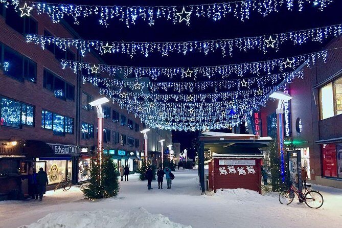 Rovaniemi Guided Tour and Santa Claus Village - Who Should Consider This Tour?