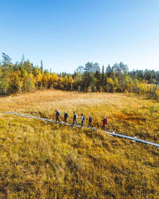 Rovaniemi: Guided tour in Arctic Circle Trekking area - Key Points