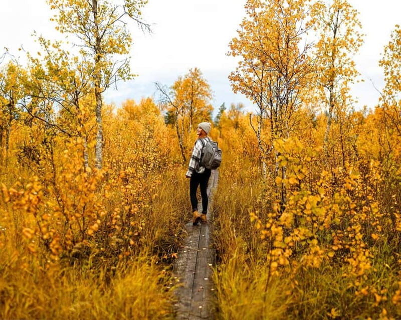 Rovaniemi: Guided tour in Arctic Circle Trekking area - Final Thoughts