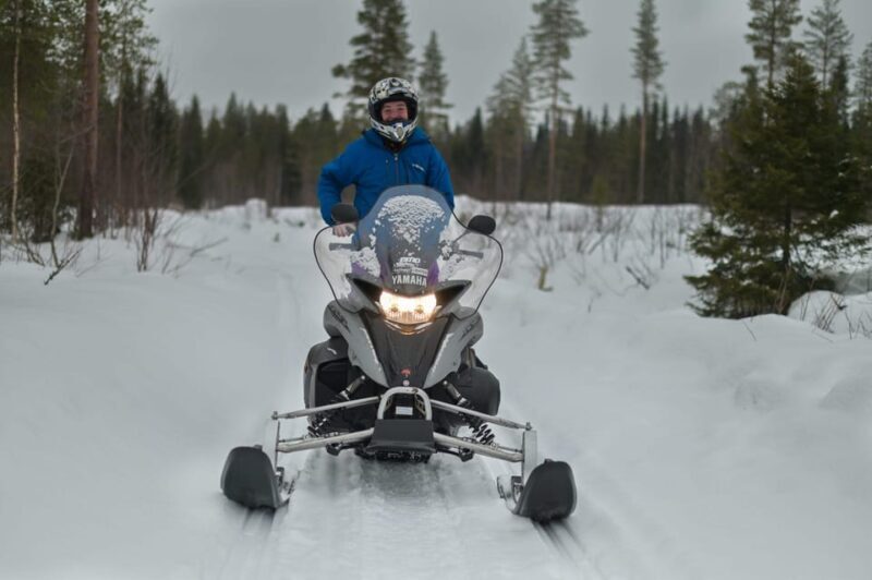 Rovaniemi: Guided Wilderness Snowmobile Safari & Barbeque - Key Points