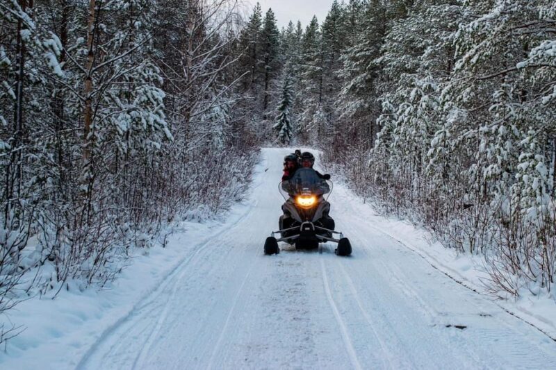 Rovaniemi: Guided Wilderness Snowmobile Safari & Barbeque - An In-Depth Look at the Snowmobile Safari & Barbecue