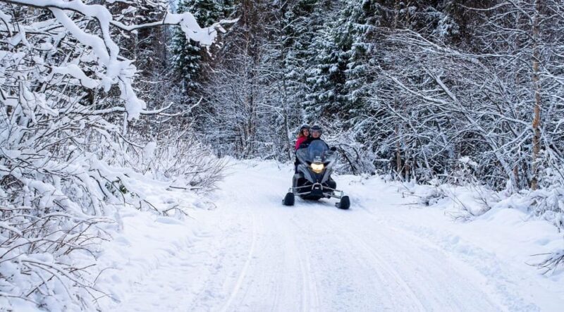 Rovaniemi: Guided Wilderness Snowmobile Safari & Barbeque - FAQs