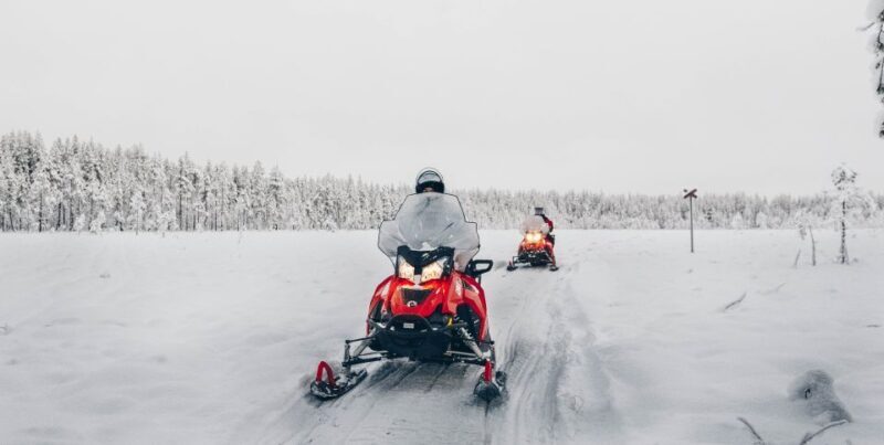 Rovaniemi: Half-Day Snowmobile Tour - Rovaniemi: Half-Day Snowmobile Tour — An Authentic Arctic Adventure
