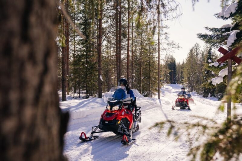 Rovaniemi: Half-Day Snowmobile Tour - What You Can Expect from the Rovaniemi Half-Day Snowmobile Tour