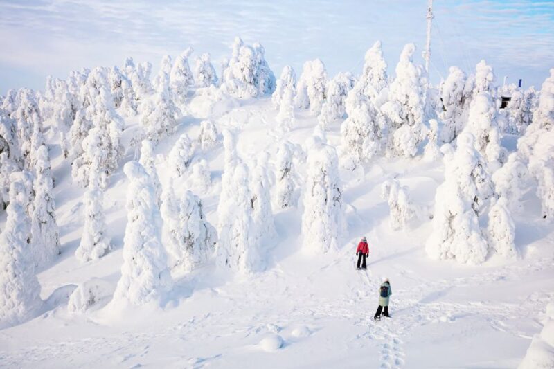 Rovaniemi: Hiking and Snowshoeing Adventure in Lapland - Exploring the Lapland Wilderness: What This Tour Offers