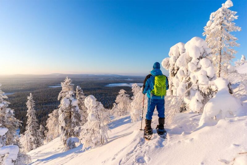 Rovaniemi: Hiking and Snowshoeing Adventure in Lapland - Authentic Experiences Highlighted by Reviewers