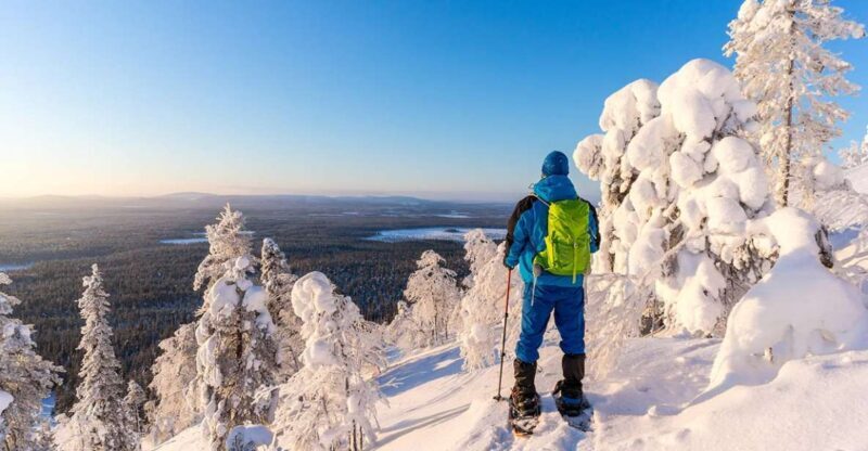 Rovaniemi: Hiking and Snowshoeing Adventure in Lapland - The Sum Up