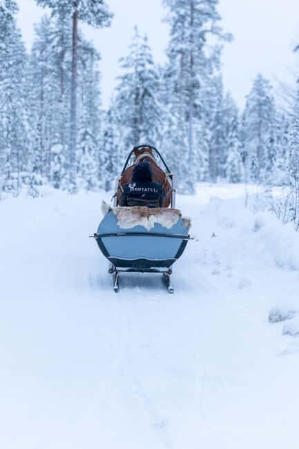 Rovaniemi: Horse-Drawn Sleigh Ride with Snacks and Transfer - Rovaniemi: Horse-Drawn Sleigh Ride with Snacks and Transfer — A Cozy Arctic Adventure