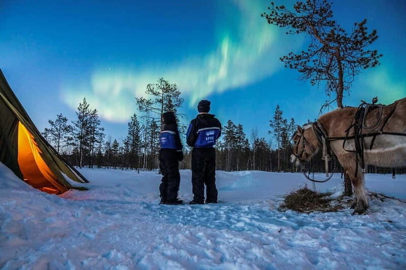Rovaniemi: Horse Sleigh Ride under the Night Sky - Key Points