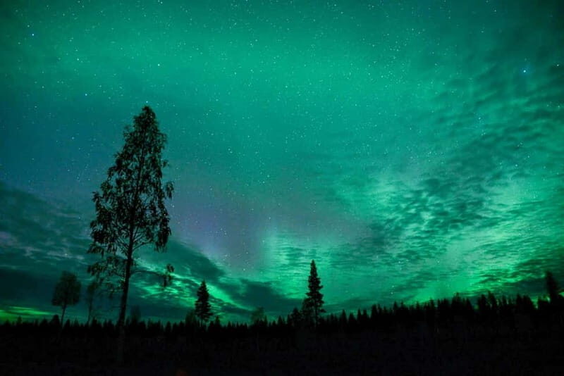 Rovaniemi: Horse Sleigh Ride under the Night Sky - The Sum Up
