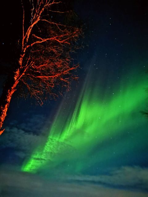 Rovaniemi Hunting Aurora at the Best Spots - Why This Tour Shines