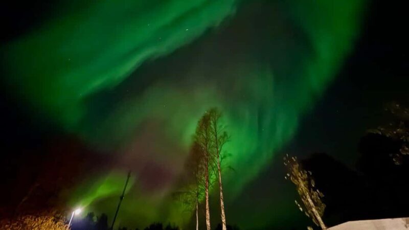 Rovaniemi: hunting for the Northern Lights with BBQ - Final Thoughts: Is This Tour Worth It?