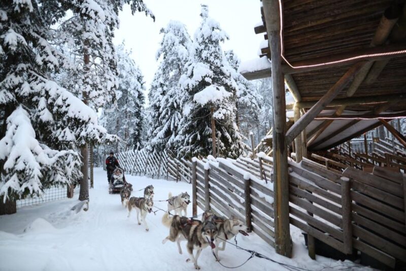 Rovaniemi: Husky and reindeer farm visit with sleigh rides - FAQ