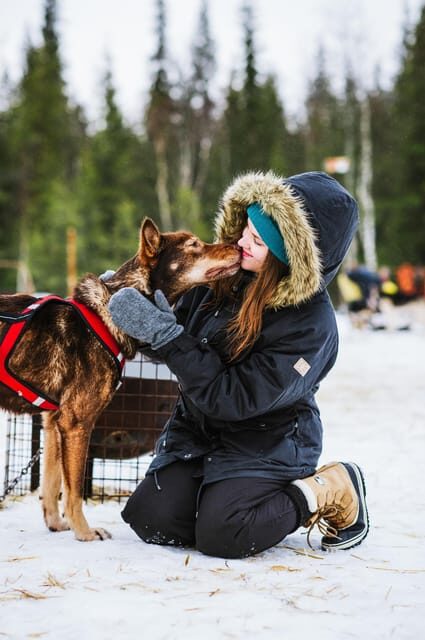 Rovaniemi: Husky and Reindeer farm with sleigh ride - Who Is This Tour Best For?