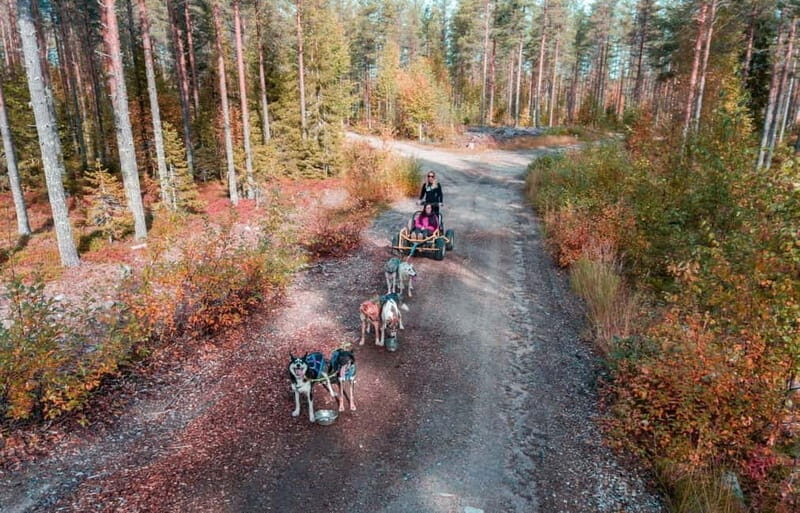 Rovaniemi: Husky Safari & Campfire BBQ  610 km SelfDrive - A Closer Look at the Itinerary