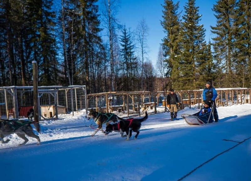 Rovaniemi: Husky Safari & Campfire BBQ  610 km SelfDrive - Key Points
